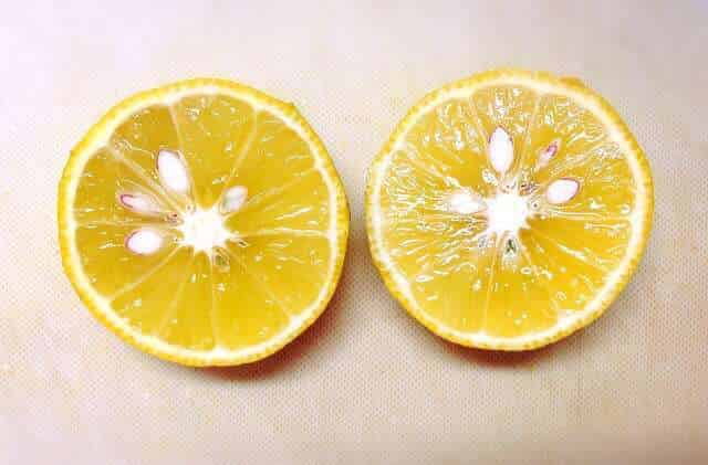すだち
