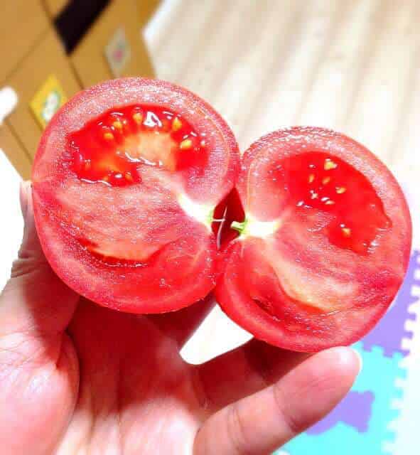 トマトの断面
