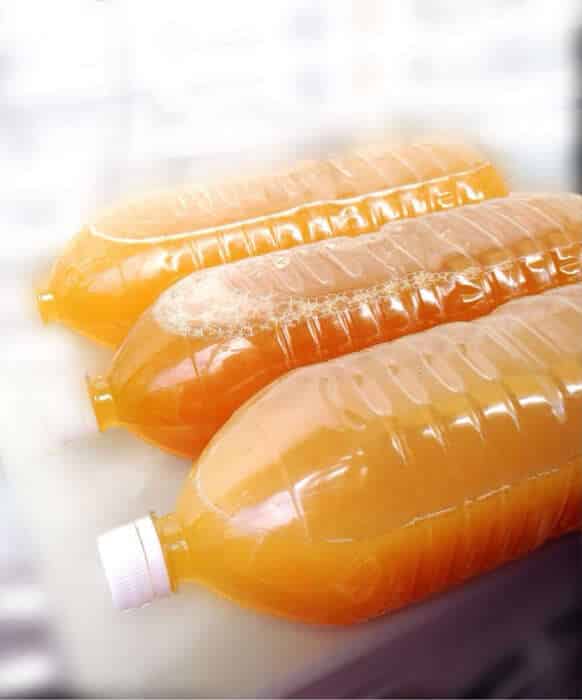 冬場に3本ベランダ発酵