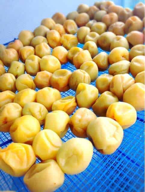 野菜ほしネットに並べる