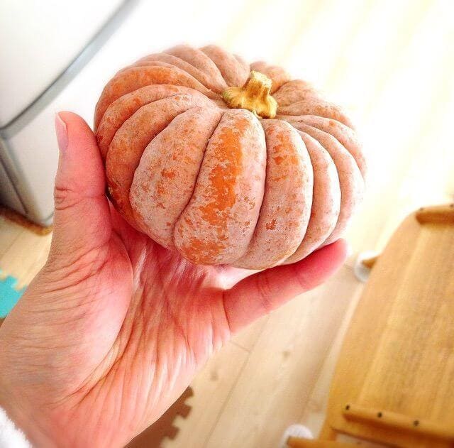 小菊かぼちゃ