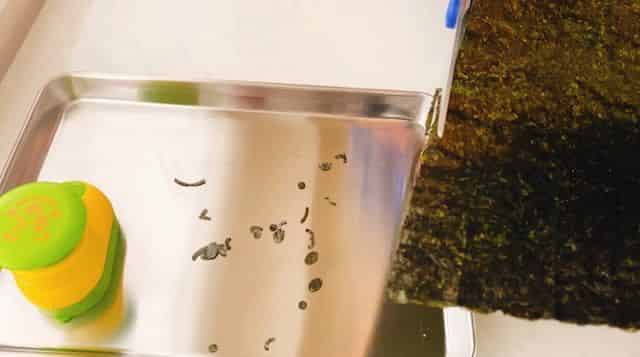 ハサミで海苔を切ります