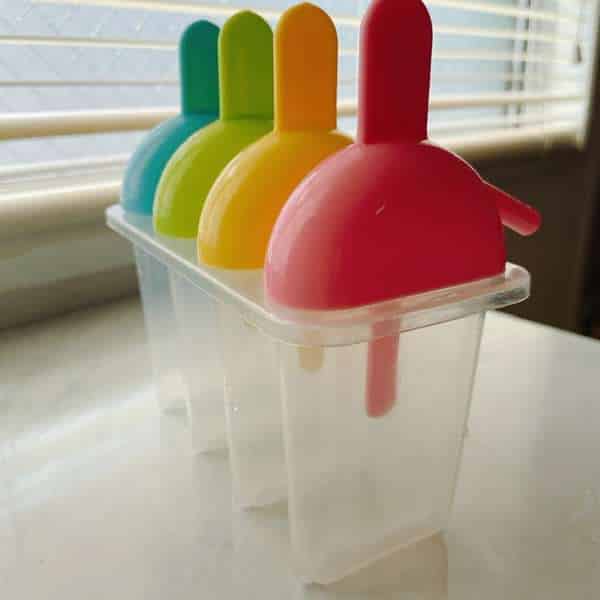 ダイソーアイスケース(旧製品)