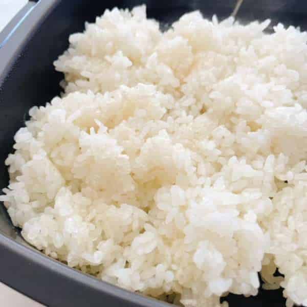 旧がたアラジントースターのご飯