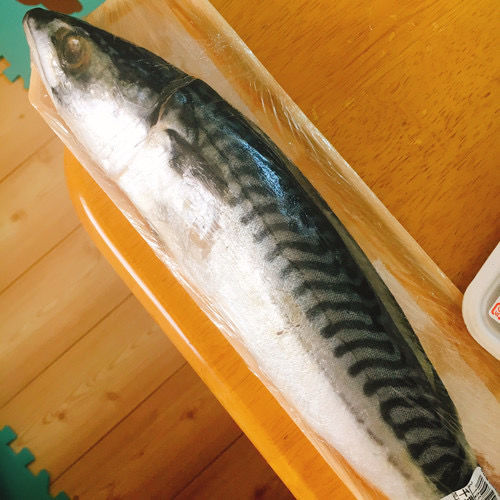 f:id:misumisu0722:20200831081953j:plain f:id:misumisu0722:20200831081953j:plain