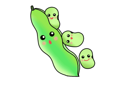 ソラマメ