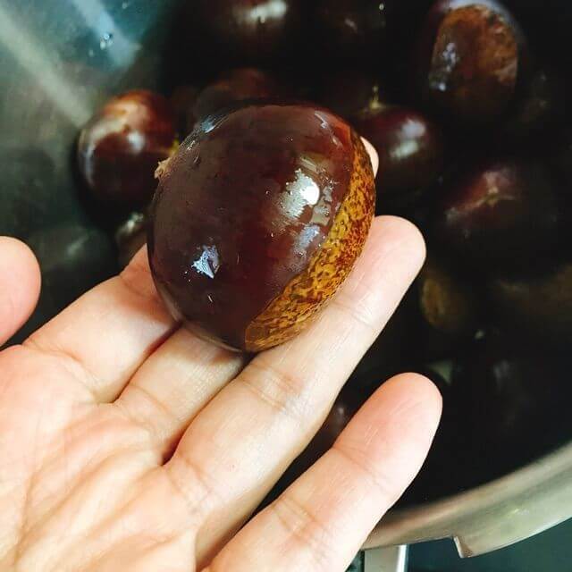 大きな栗