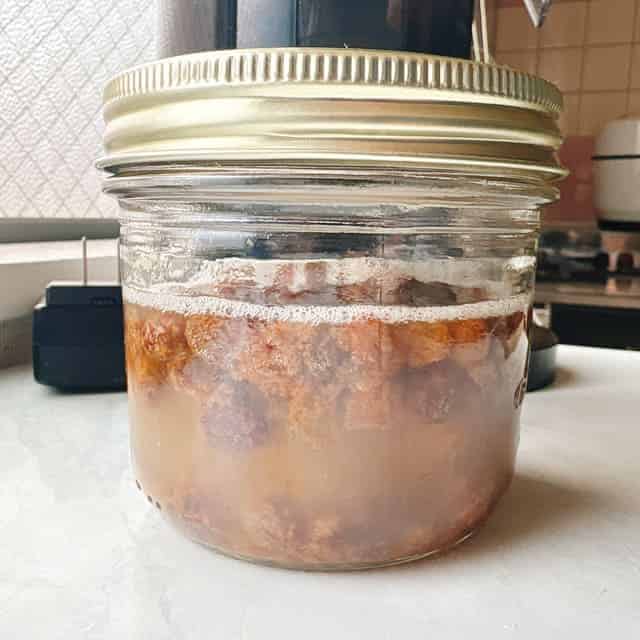 レーズン酵母：4日目