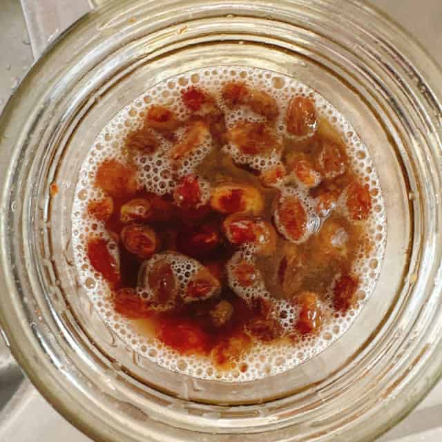 レーズン酵母：5日目